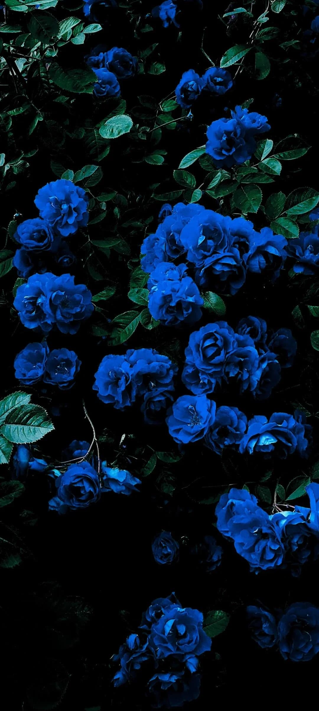 my favorite dark wallpaper dump v0 75bvn1u15w6h1