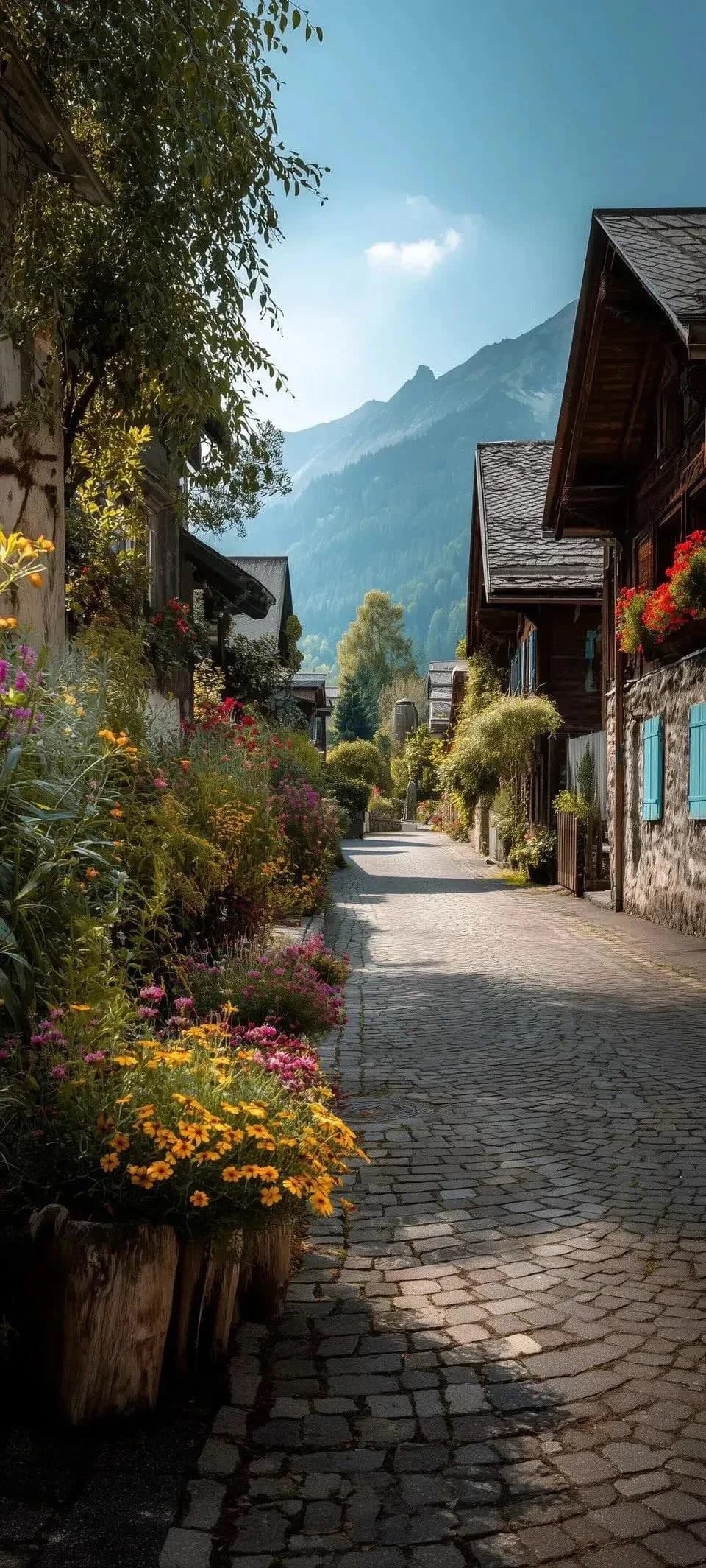 nature wallpapers v0 a1knyog3m0ch1